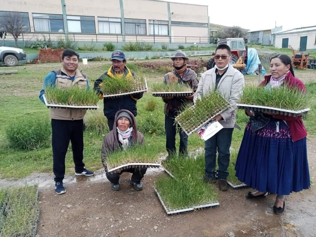 MDRyTOficial's tweet photo. #Cochabamba
A través del @ProCamelidos y en coordinación con la Fundación PROINPA, realizamos acciones conjuntas para fortalecer al sector camélido; se introdujo 40.000 plantines nativos de pasto y realizó la capacitación de productores, técnicos y facilitadores municipales. https://t.co/sag1KsUVq7