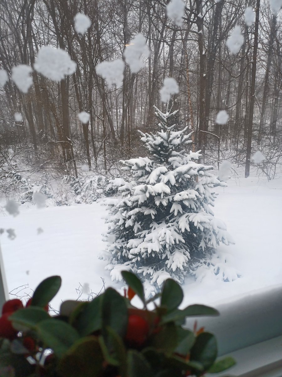 Anna Annette tweet media