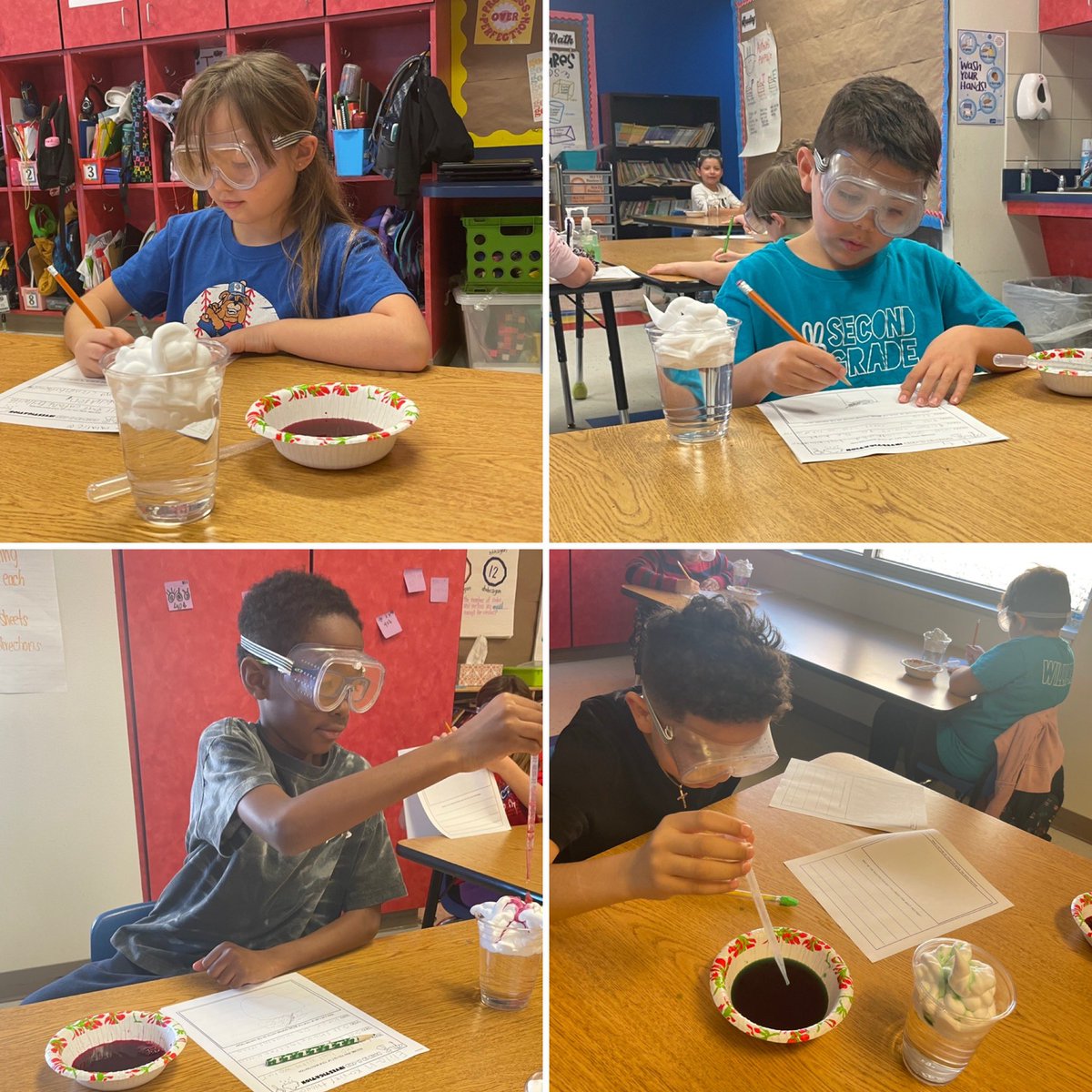 Kim Williams tweet media