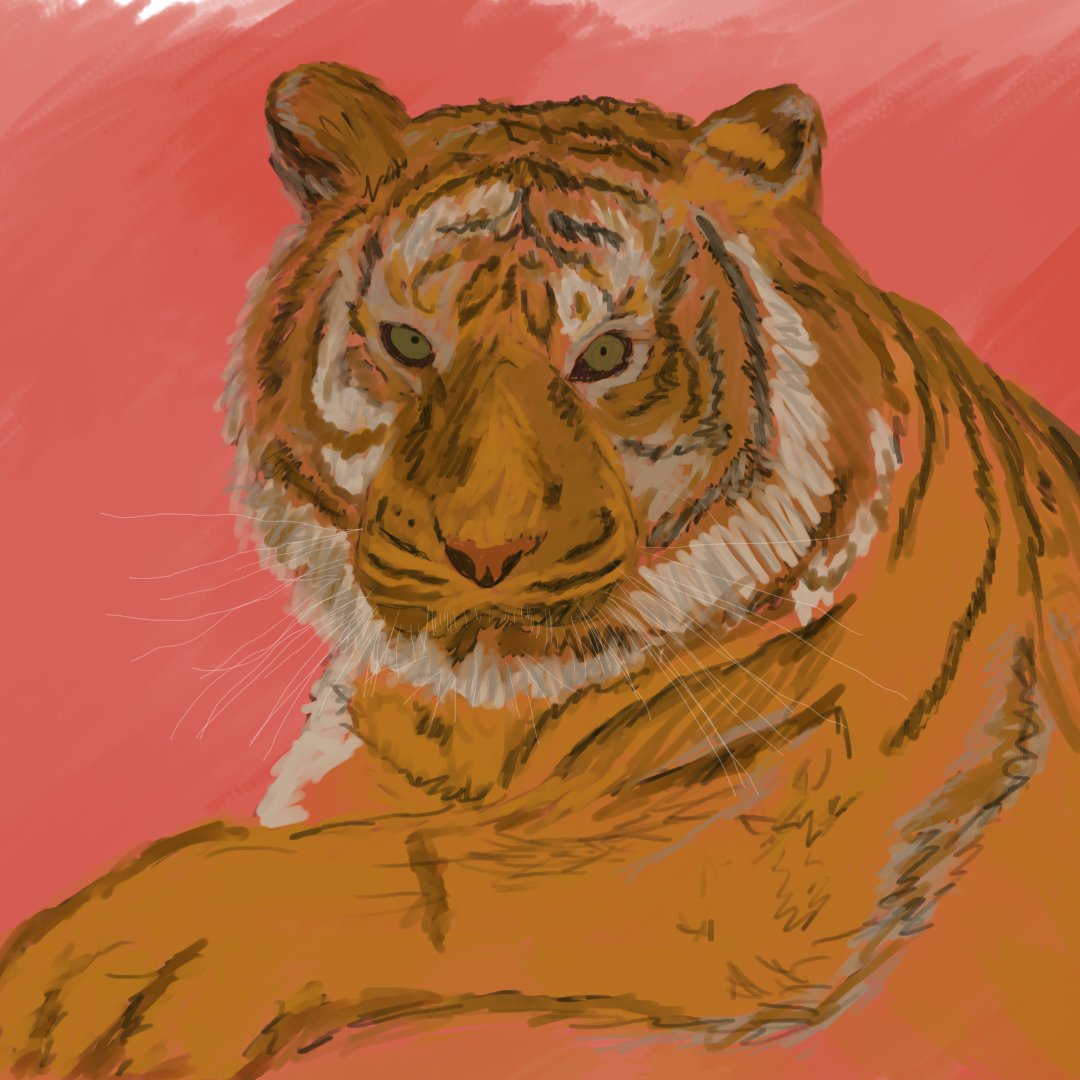 ArtistRelax's tweet photo. I made this last night just in time to celebrate Chinese New Year!

Hope everyone enjoys it!
.
.
.
#chinesenewyear #ChineseNewYear2022 #yearofthetiger #yearofthetiger2022 #CNY2022 #Tiger #DigitalArt #DigitalPainting #NewArtist #animalpainting #painting #ChineseNewYearEve https://t.co/FUGZHOMycW