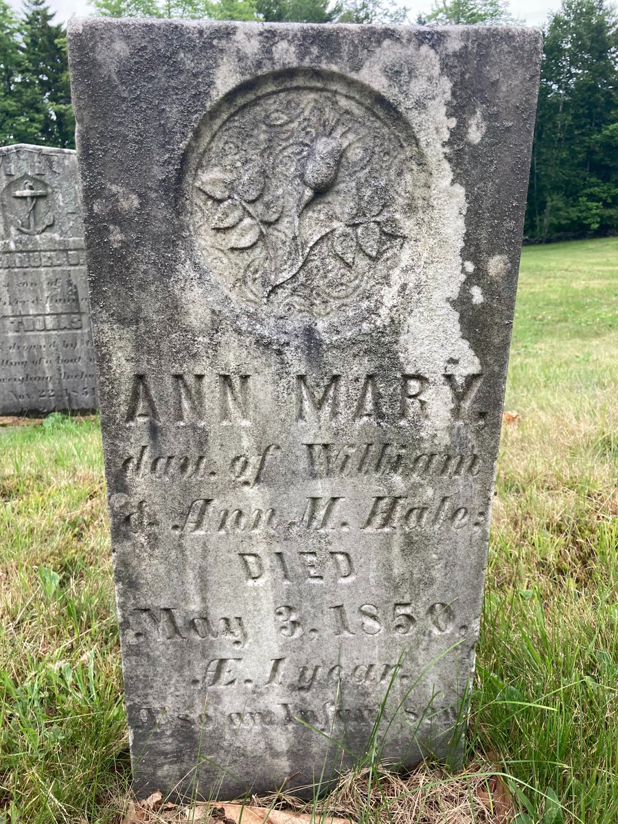 iamtherockghost's tweet photo. #Grave of Ann Mary Hale (age 1) and her infant brother who died in 1850. The #rosebud carving symbolizes a youthful death.  #Maine #NewEngland #cemetery #marble https://t.co/BLLeP7RLJz
