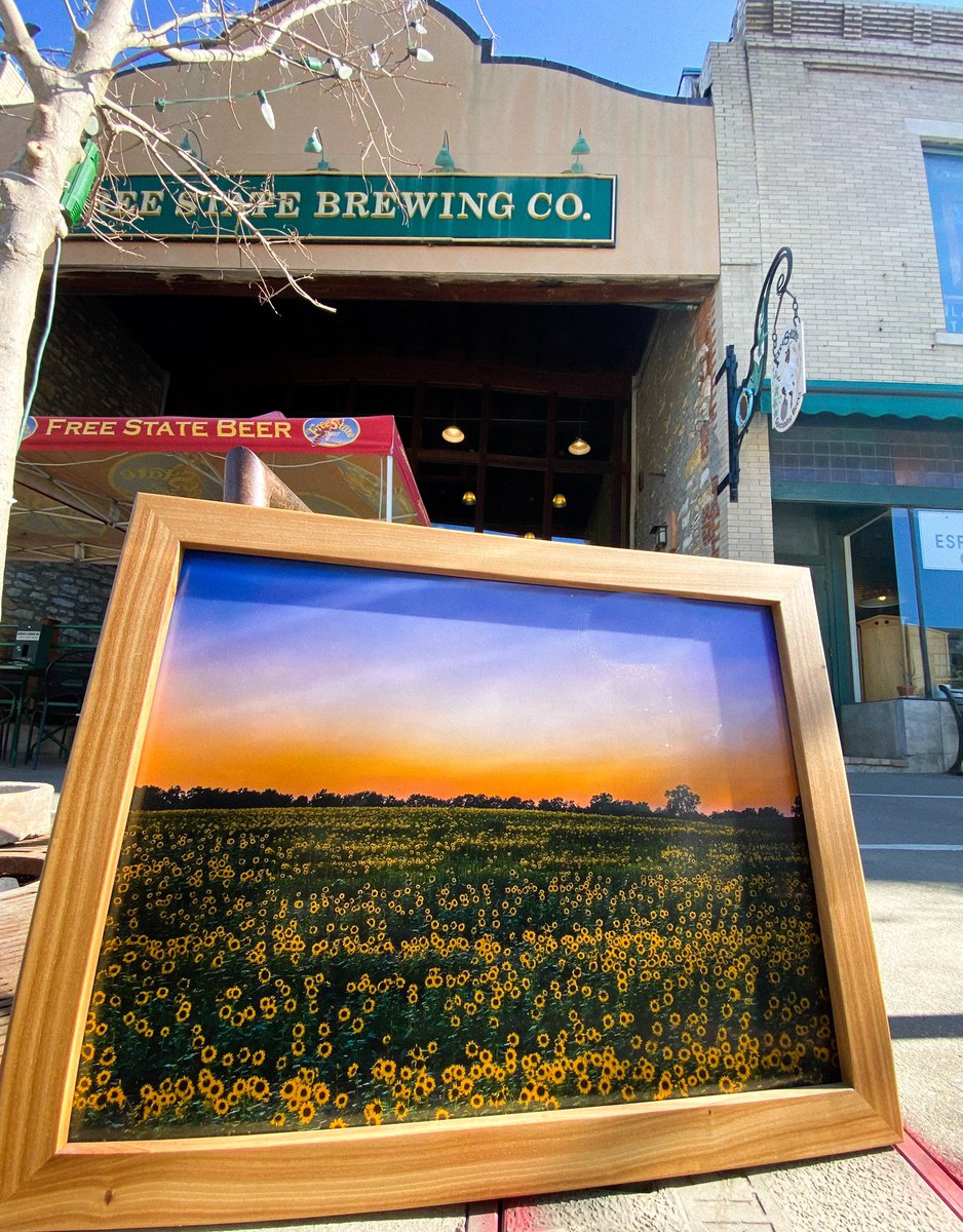 🌻Happy Kansas Day🌻

To celebrate our state’s birthday we are partnering with the crew at Drone Lawrence to giveaway one of their Sunflower prints shot at Grinter Farms! Retweet this post and be sure to follow both @freestatebeer and <a href="/dronelawrenceks/">Drone Lawrence</a> to be entered to win
