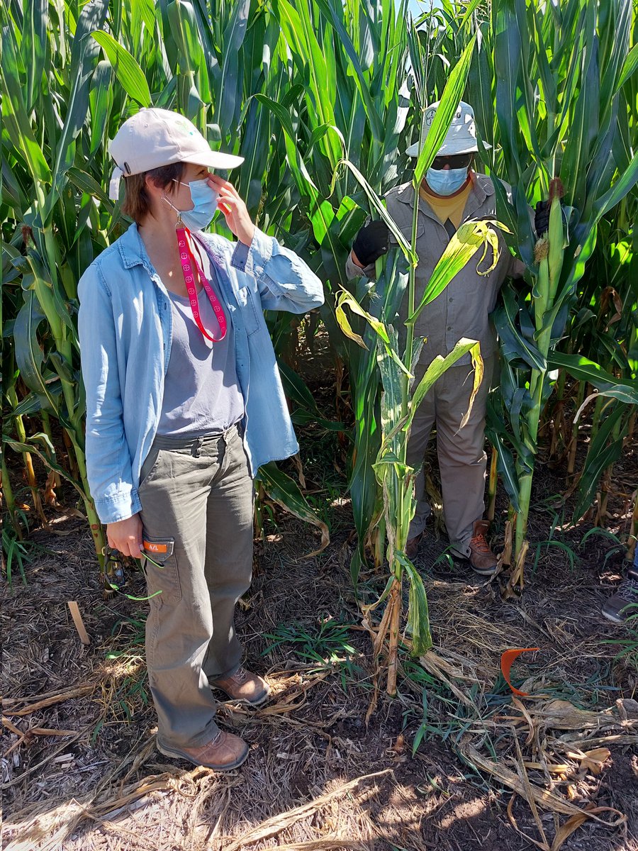 luchysoco's tweet image. Ayer participé del #BiotechExperience de @Bayer4CropsAR en Venado Tuerto, Sta. Fe. Gracias al equipo de #FieldTesting por la invitación🌱🌽
Apasiona ver tanta agronomía atrás de cada foto, se vienen cosas nuevas ✅
#agricultura #DigitalTransformation 
#sustainability