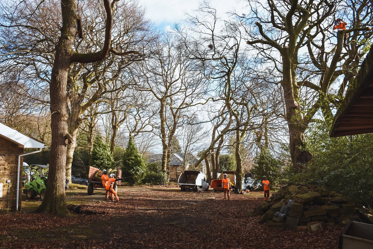 _ConnorMcMain's tweet photo. BP Tree Care 🪵 https://t.co/dyTT1B0Pvs