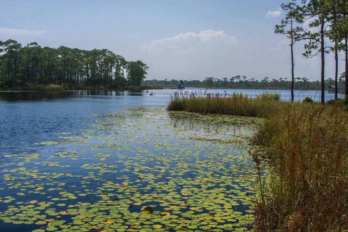 SouthWalton's tweet photo. We'd like to solve the puzzle... of why #SouthWalton is the most beautiful place on Earth 🧩

(hint: it's the turquoise water, sugar-white sand, biodiversity, ways to explore, etc.)

Happy #NationalPuzzleDay!

📍: #WaterColorFL https://t.co/Cn3n4ebuD4