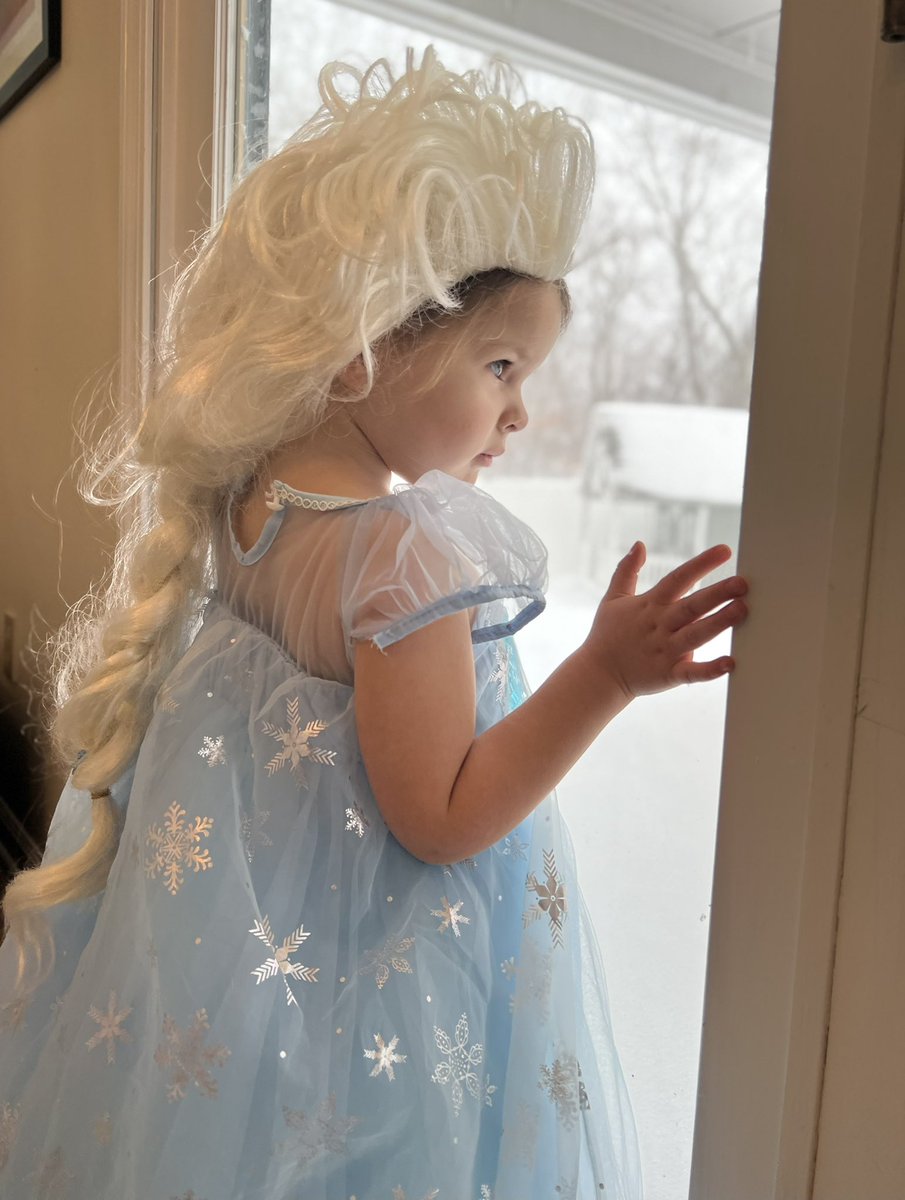StephanieSimoni's tweet photo. Found the perpetrator.
❄️⛄️
#LetItGo #Elsa #snow #WTNHWeather https://t.co/52wPR7mcpQ