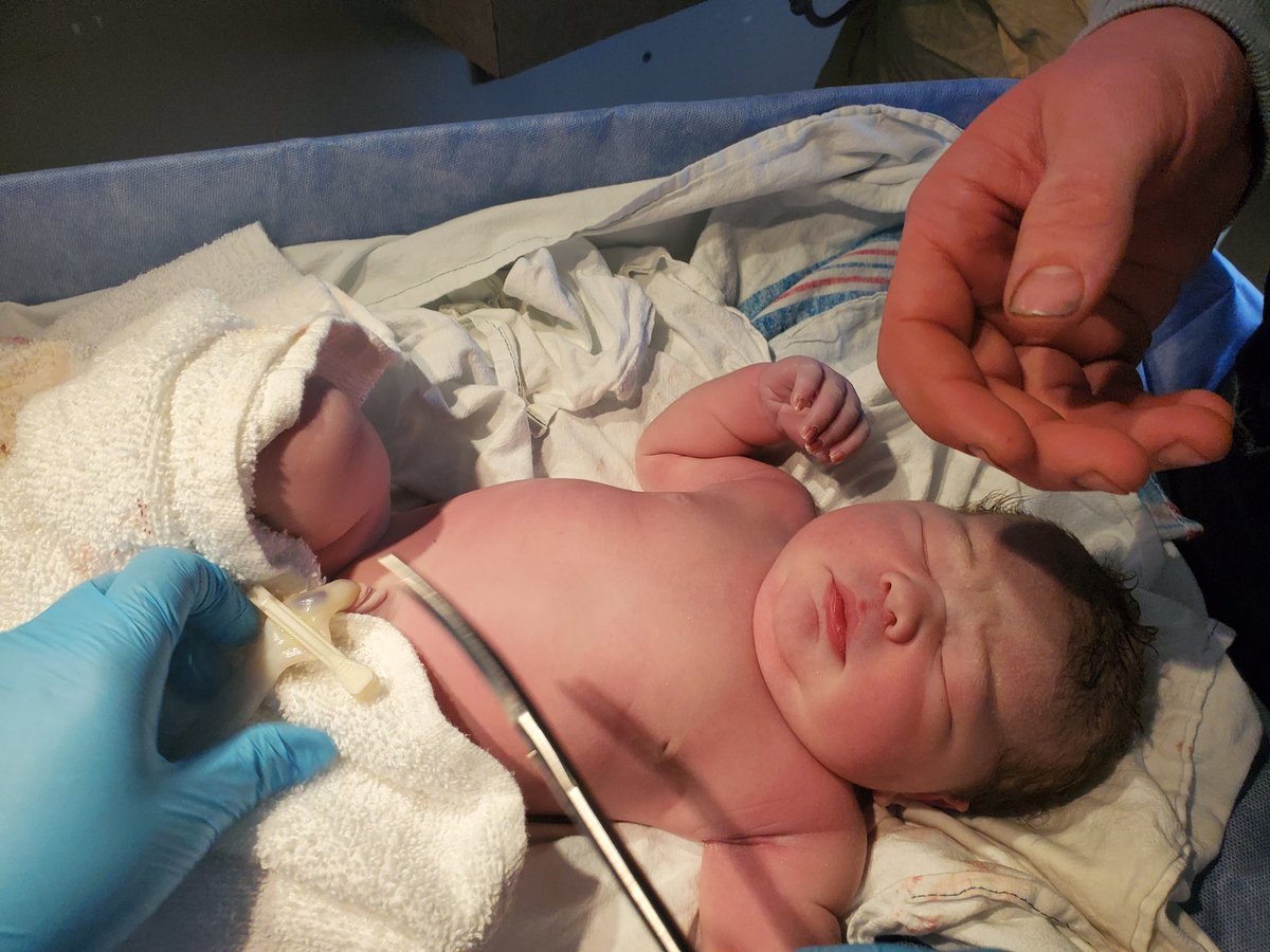 Welcome  Willow Rose Keichinger