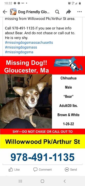 In the midst of this blizzard there’s a missing and likely lost dog in #Gloucester. Details below. Dog is shy and new to area. <a href="/boston25/">Boston 25 News</a>