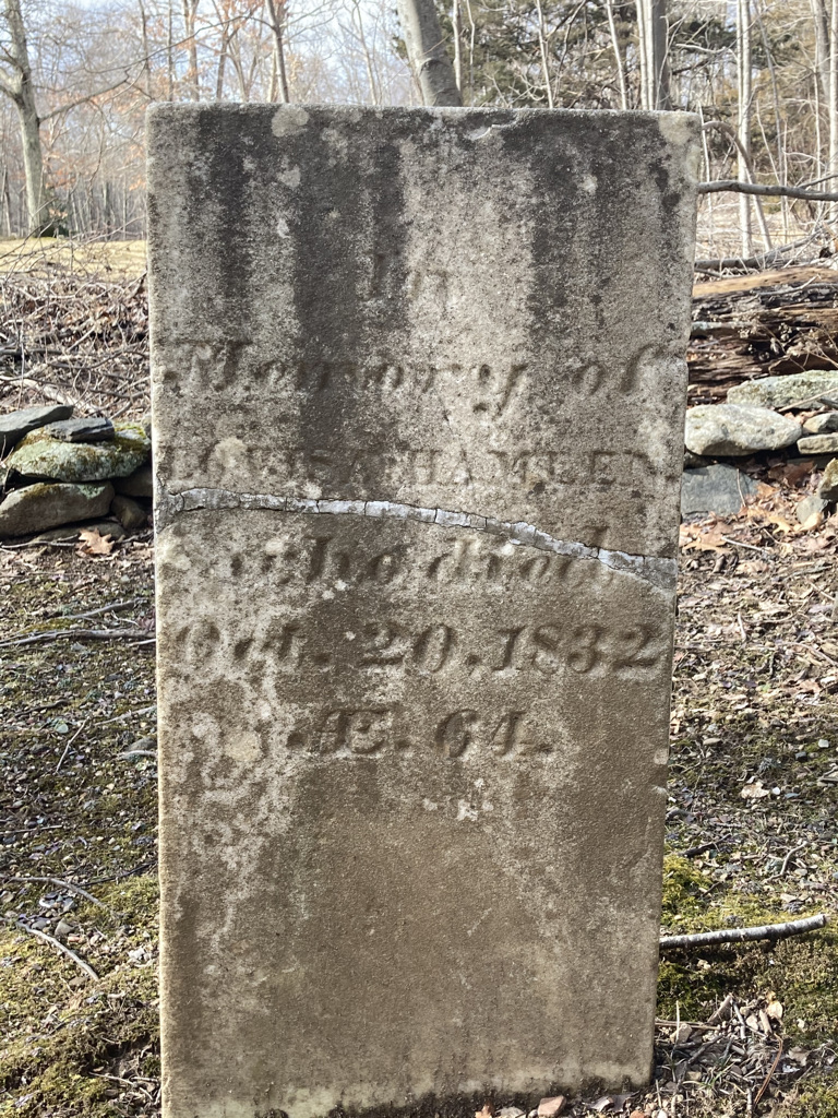 iamtherockghost's tweet photo. #Headstones from the #Gayfamily #cemetery of #GayCityStatePark in Hebron, #Connecticut.  #NewEngland #cemetery https://t.co/17IJ4vrS3W