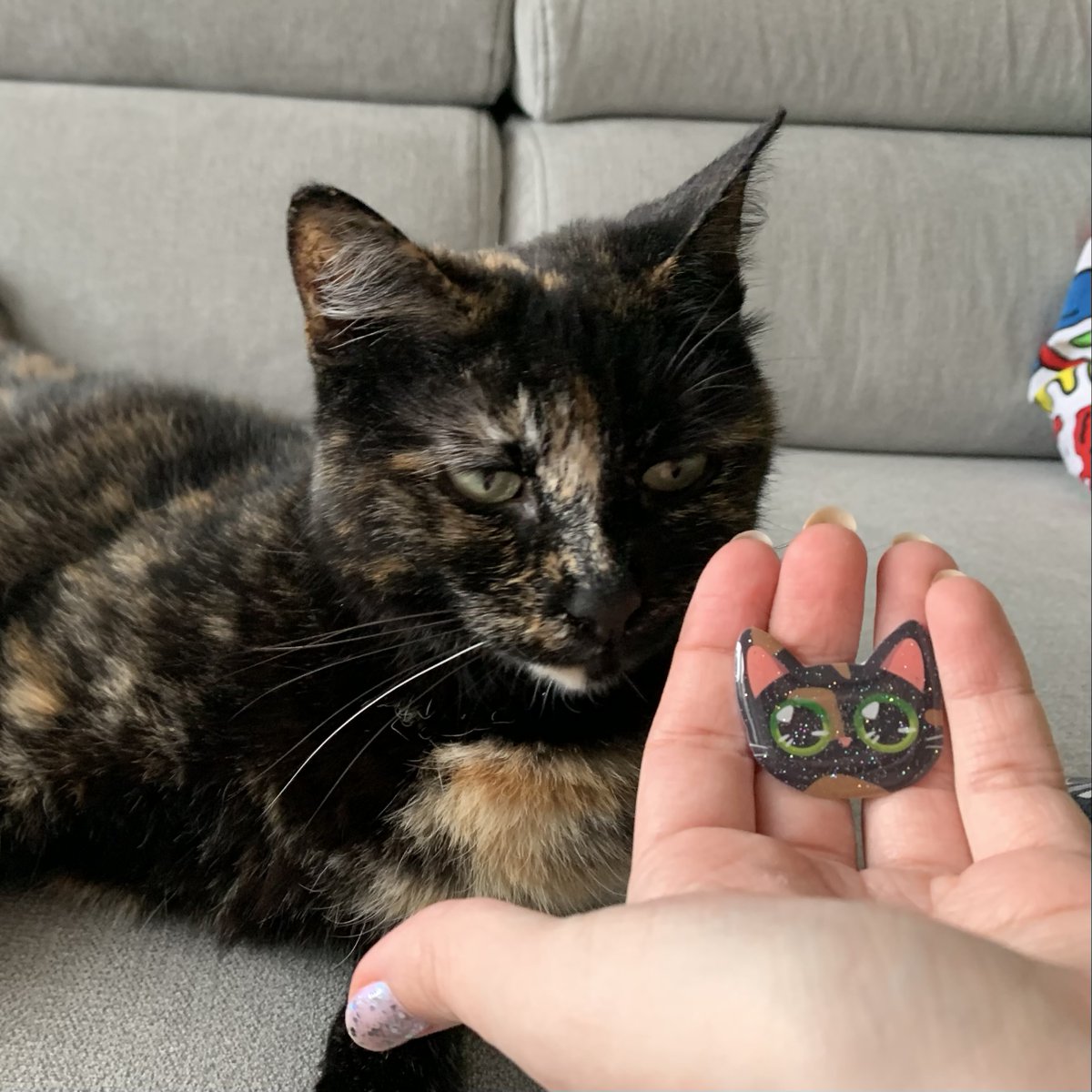 KC Noereau tweet media