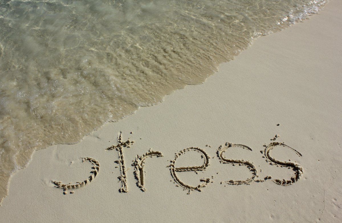 soylajefita's tweet image. ¡Ahora sí, aquí va algo sobre MANEJO DE ESTRÉS!

Esta vez, léanlo TODITO. 😁

🔹Aquí les dejo 10 cosas esenciales a considerar si queremos aprender a manejar bien el estrés.