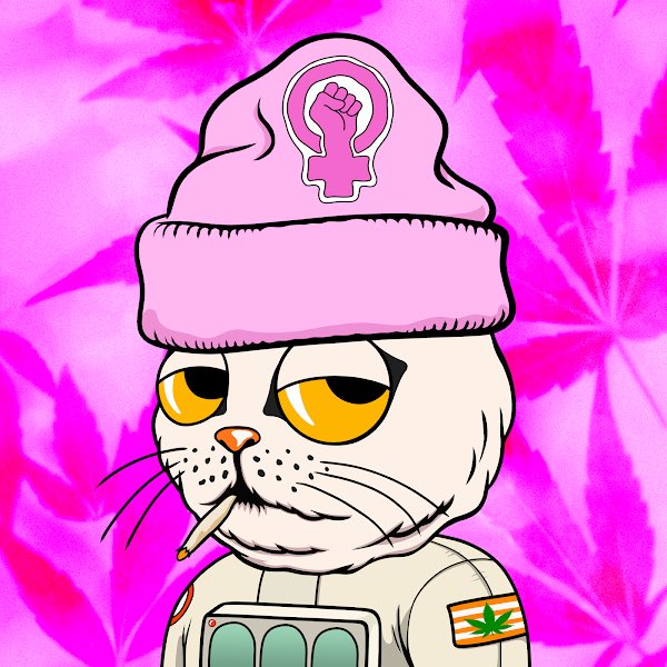 missitiffi's tweet photo. Pink power #HomiesinDreamland #bossbeauties https://t.co/5Q42NlJzq1