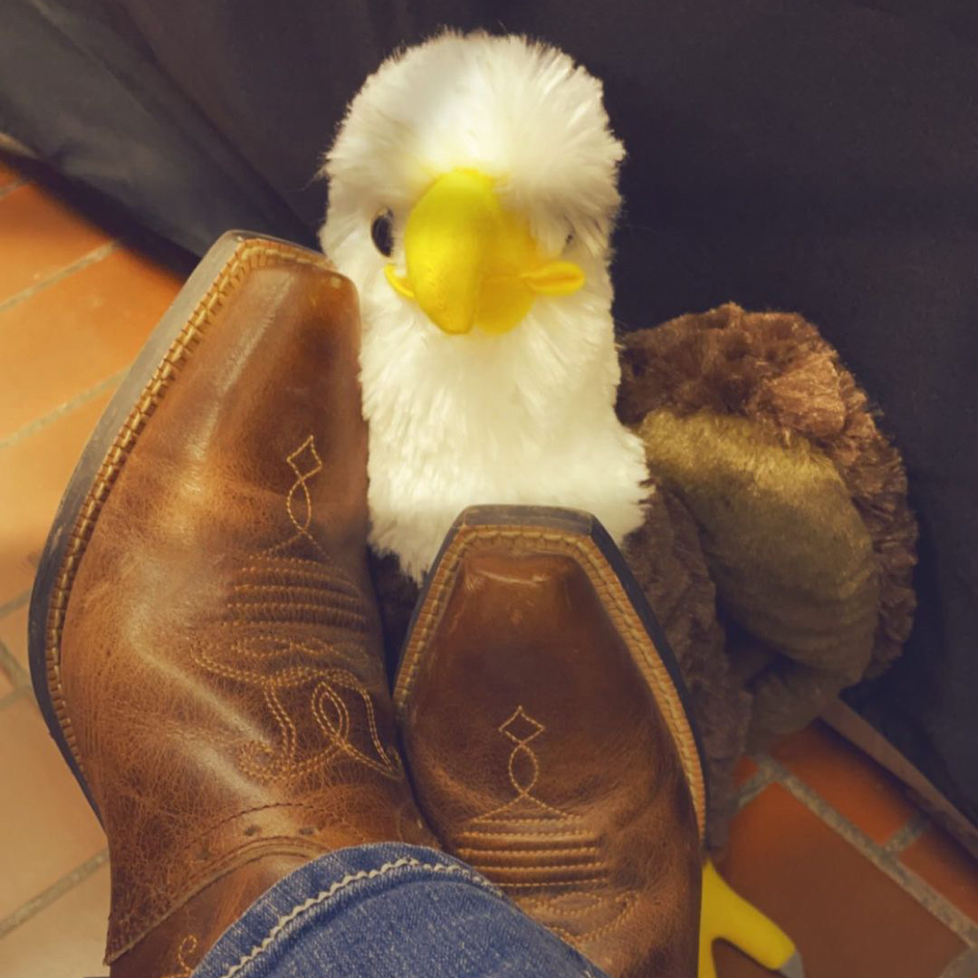 chadronstate's tweet photo. Bring your boots over to the CSC booth @bhstockshow https://t.co/swmJUumoEi