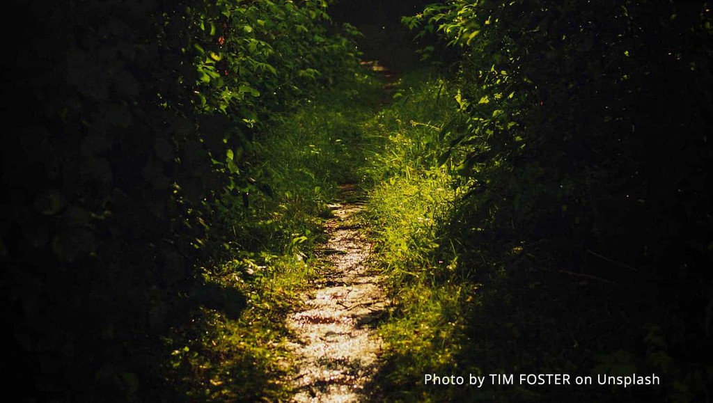 PiaLJansson's tweet image. A company goes through different seasons and stages just like nature, so all are needed for a company to be successful long-term.

Read the full article: What’s Your Genius Profile Success Path?
▸ lttr.ai/sNgz

#SuccessPath #BusinessTools #RogerJamesHamilton