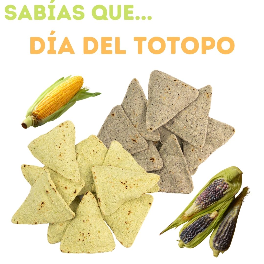 nutletyhuerta's tweet image. #Totopo viene del náhuatl #totopochtli que significa #tostar; por lo tanto, las #tostadas de #maíz #tradicionales no se fríen. 
 
Haz tu Cita o Video-Consulta WhatsApp +525580979404 citas@letyhuerta.com
 
#29enero #México #snack #salud #nutrición #NutsLH #nutsletyhuerta
