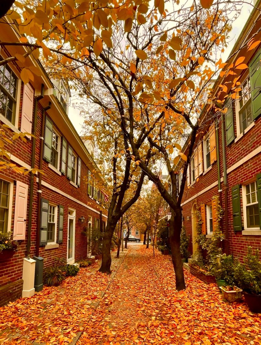 ProfDuff's tweet photo. Four seasons of Jessup Street, Washington Square West #philly https://t.co/kNl9NW6D72
