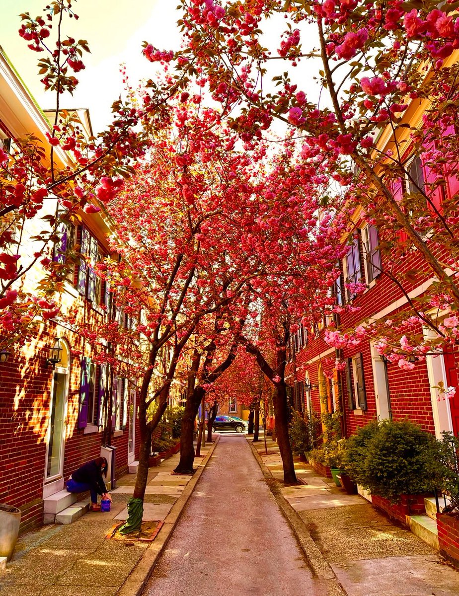 ProfDuff's tweet photo. Four seasons of Jessup Street, Washington Square West #philly https://t.co/kNl9NW6D72