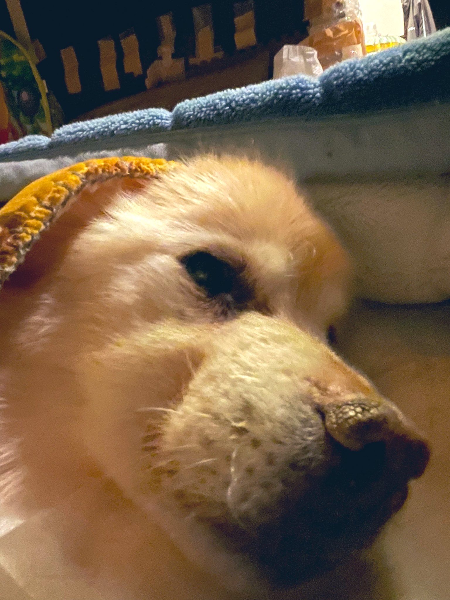 そんな時もあるよね Twitter Search Twitter