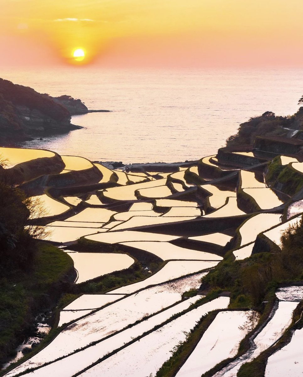 GN! Epic sunset on the rice terrace field in Saga, Kyushu, Japan.