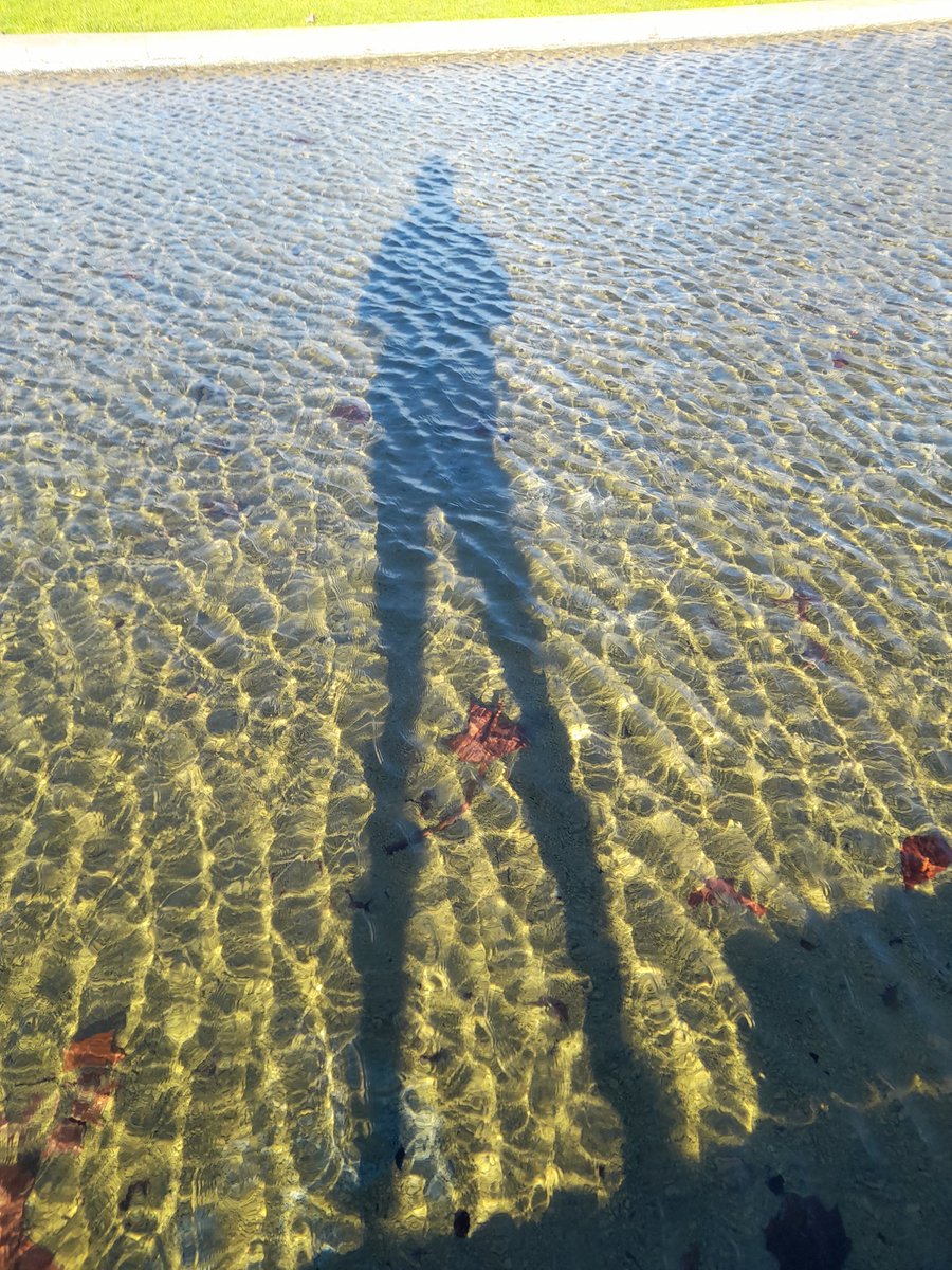 kamenopoulou's tweet photo. #ItIsSaturday #SpringIsInTheAir #VickyPark ๐๐๐ค https://t.co/DRV7JaxwGe