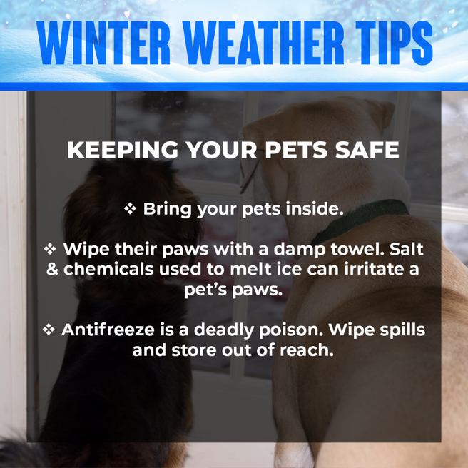 1023WBAB's tweet photo. Make sure to take care of your #furry or #feathered or #4leggedfriends today! What are your #pets doing during the #blizzard? ~ @niqueWBAB
#blizzard2022 #wx #liwx #longisland #weather #snowstorm #noreaster2022 #bombcyclone #longislandweather https://t.co/8hx24Z3a92