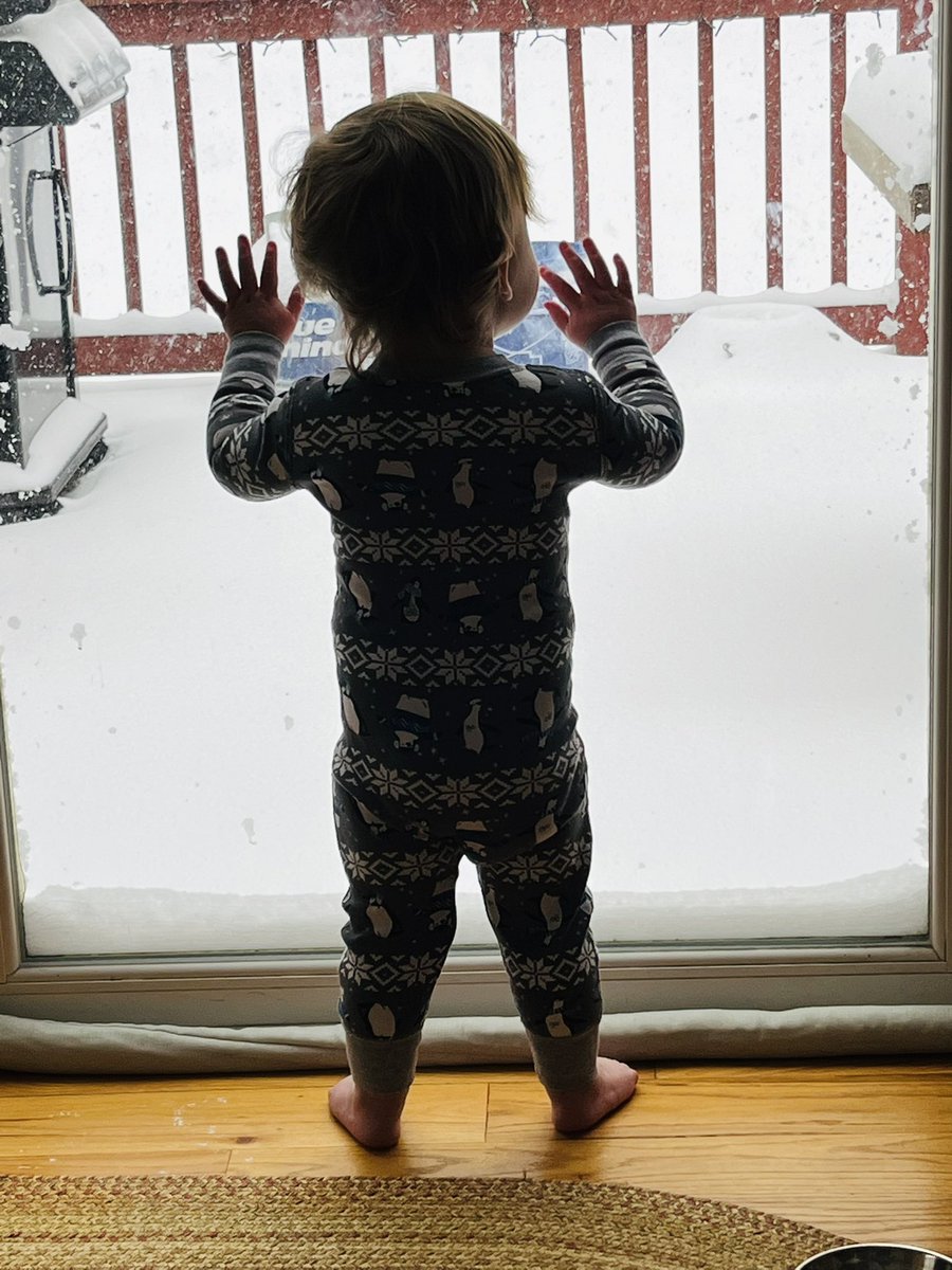 Captivated by the blizzard