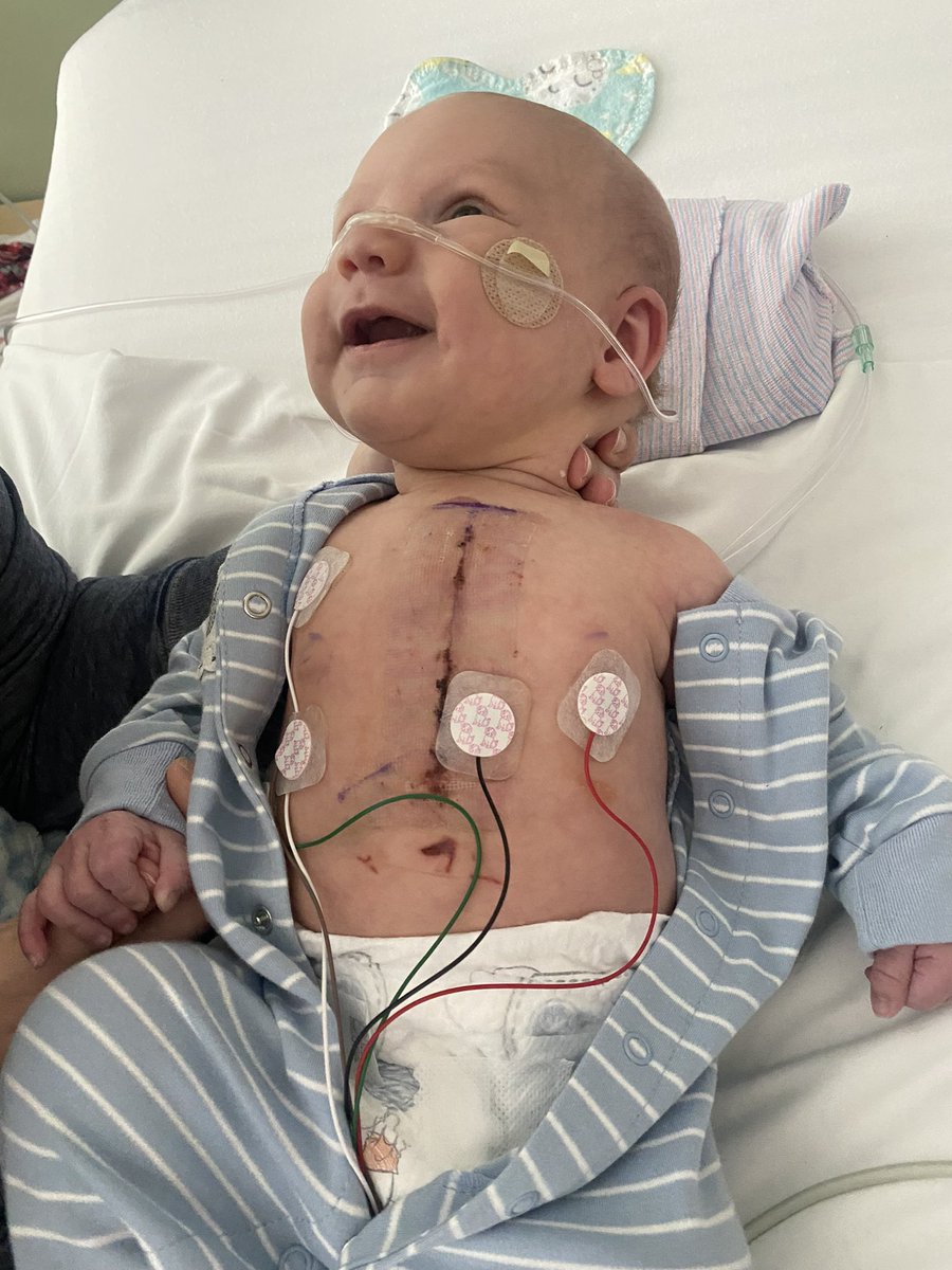 shailynn tweet media