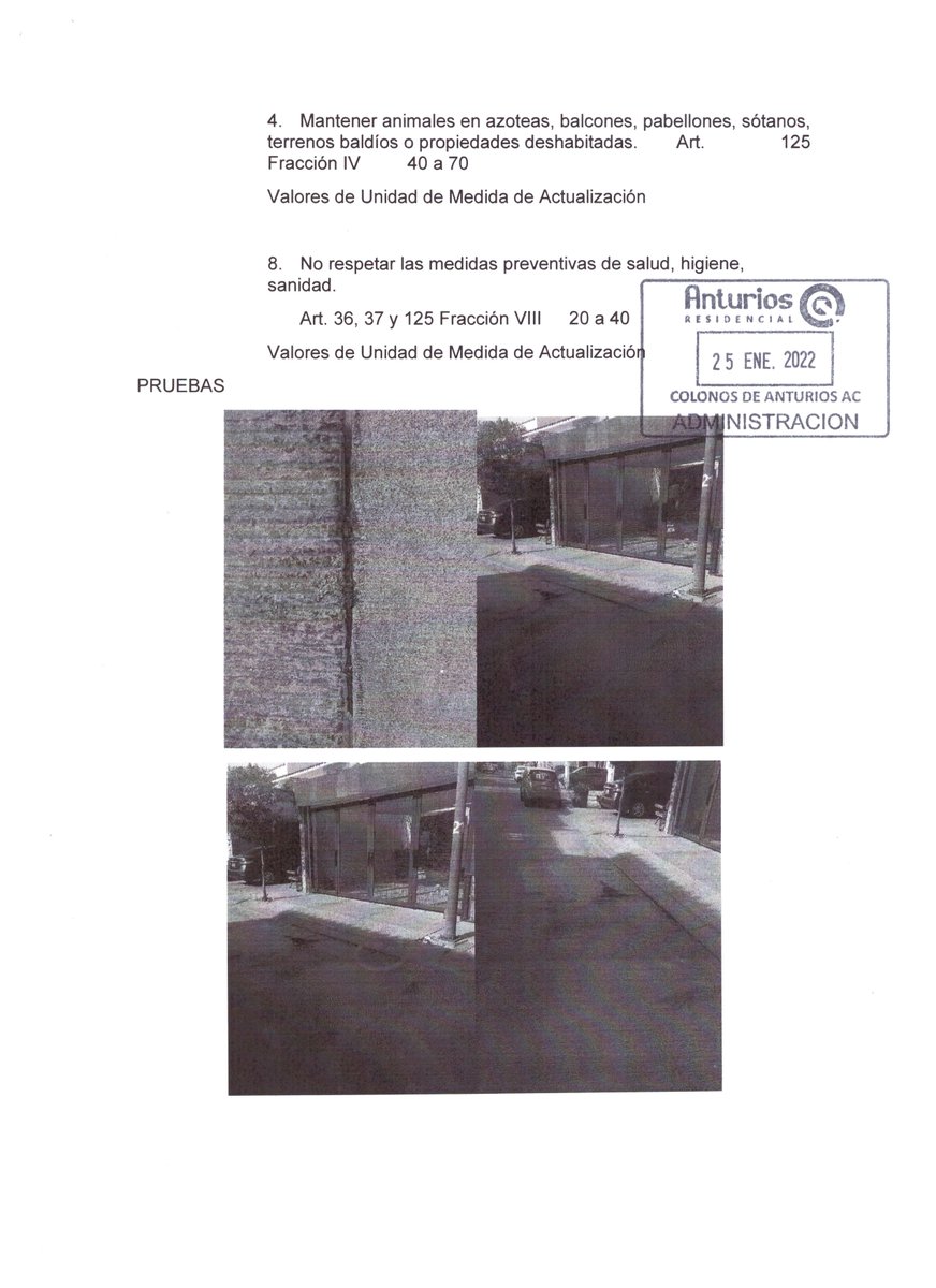 AcColonos's tweet photo. @LeonSaludable Salud Municipal Leon
@ambiente_leon Dirección de Medio Ambiente
@atencionaleon Atención Ciudadana León

Solicitando su atención a la siguiente denuncia
El artículo 34 del Reglamento para la Protección a los Animales
en el Municipio de León, Guanajuato https://t.co/EIqXYBSzxU