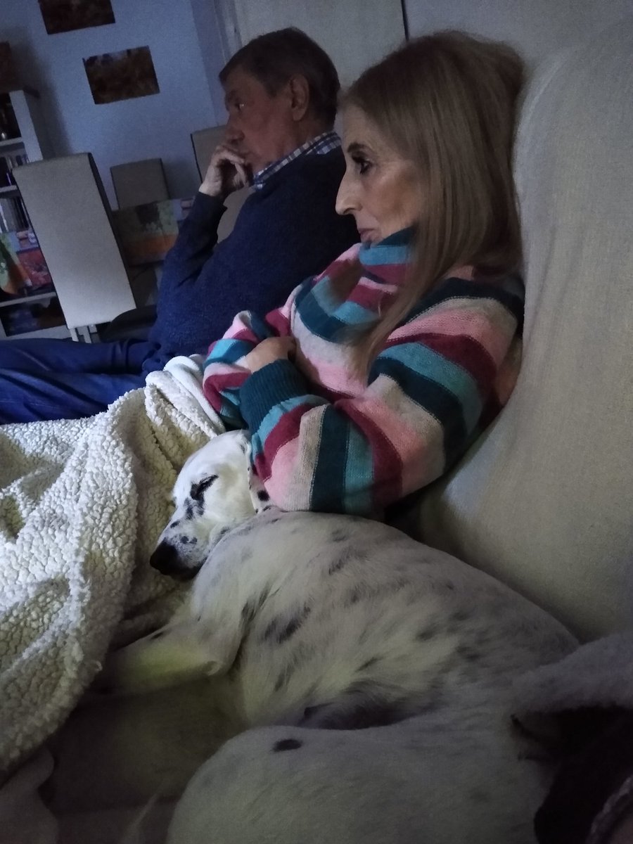 Nana and Grandpaw are here watching a movie with us and I am using Nana as my pillow 🥰
This is the proof of how much I love them now 😍
(Nana and Grandpaw are really focused on the movie 🤣🤣 they didn't even notice mom took this Pic🤭)