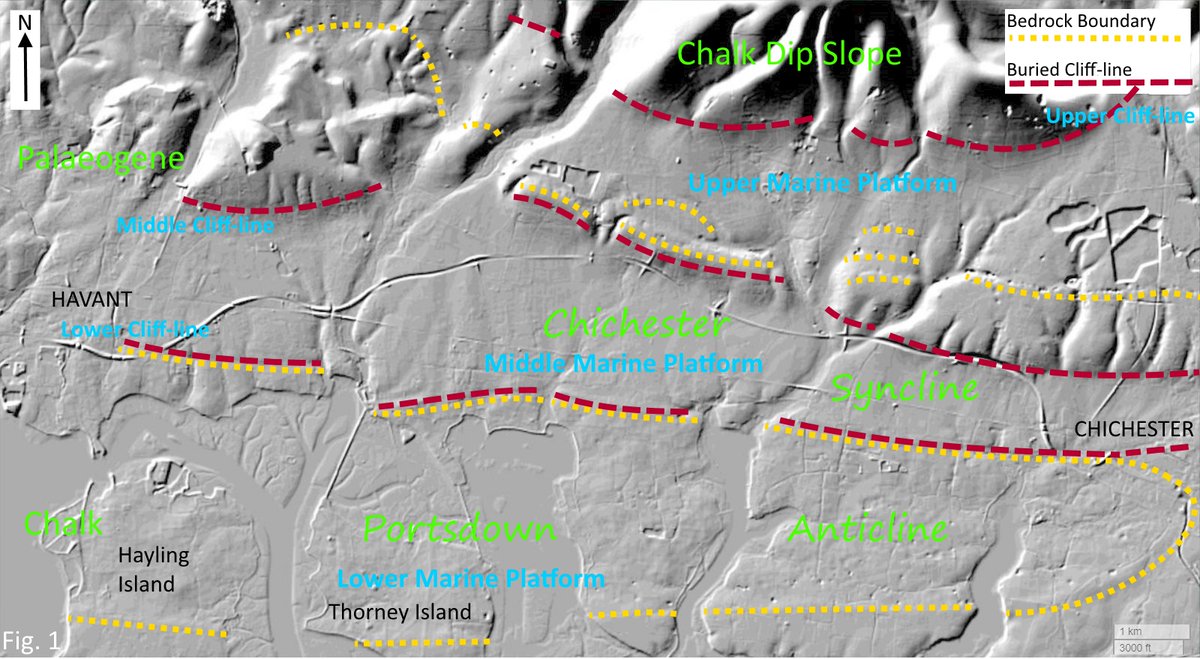 I love #Lidar. Article for the #WSGS. Geology interpretation of the #WestSussex #CoastalPlain north of #ChichesterHarbour. 3 #Pleistocene #MarinePlatforms with the bedrock geology showing through the Quaternary cover.