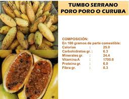 HoyuriRodriguez's tweet photo. @kungfucandy5 @rrojasm Es una fruta cajamarquina. Se llama poro poro y es muy rica, la puedes preparar en jugo. https://t.co/CL6PoorgCh