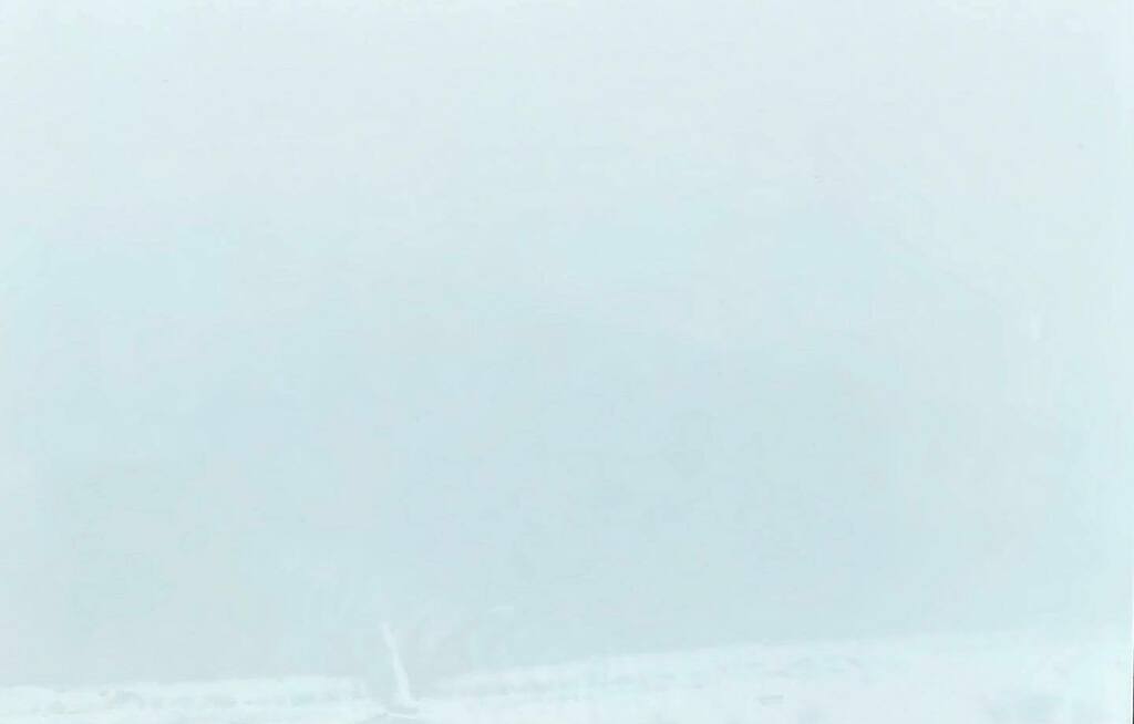 MichaelSchlow's tweet photo. #axellenassia tried to get me to go to Petco today, took a lot to convince her that maybe today wasn’t the best day for the pet store.. LOL!
#whiteoutconditions 
#blizzard #snowday #stayinghome https://t.co/PuLDqlLF5L