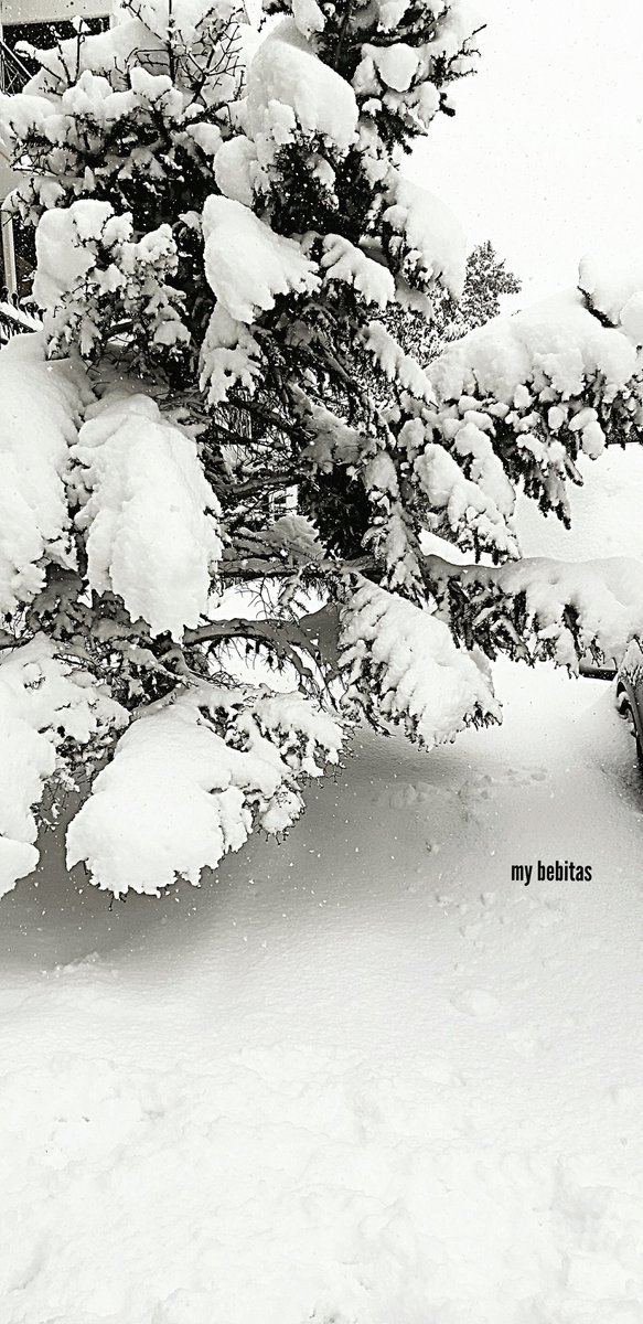 mybebitas's tweet photo. Felt like Switzerland for a while... ❄☃️ https://t.co/sShrCrgScn