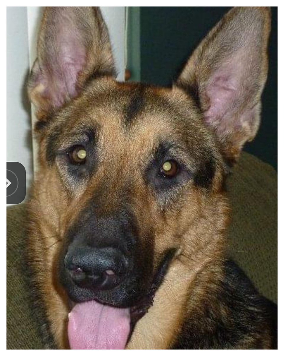 Linda Jo Hall tweet media