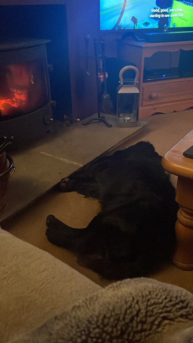 overdale1950's tweet photo. @weekendgundog Here’s another one too ! No more pheasant til next season https://t.co/bKtD5TAuYo