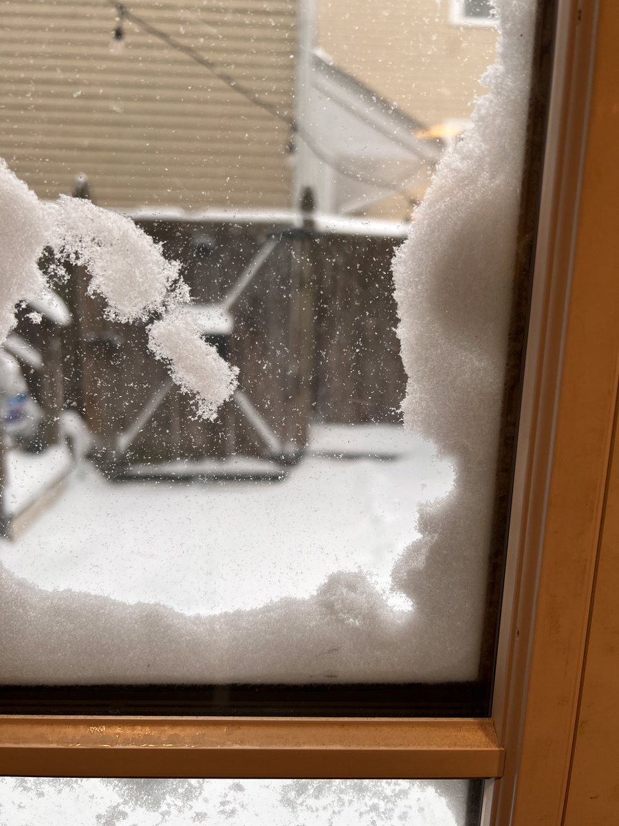 flannfry's tweet photo. Cheers, Boston! #bosnow #bostonweather #Bombogenesis https://t.co/JLM58SW5VV