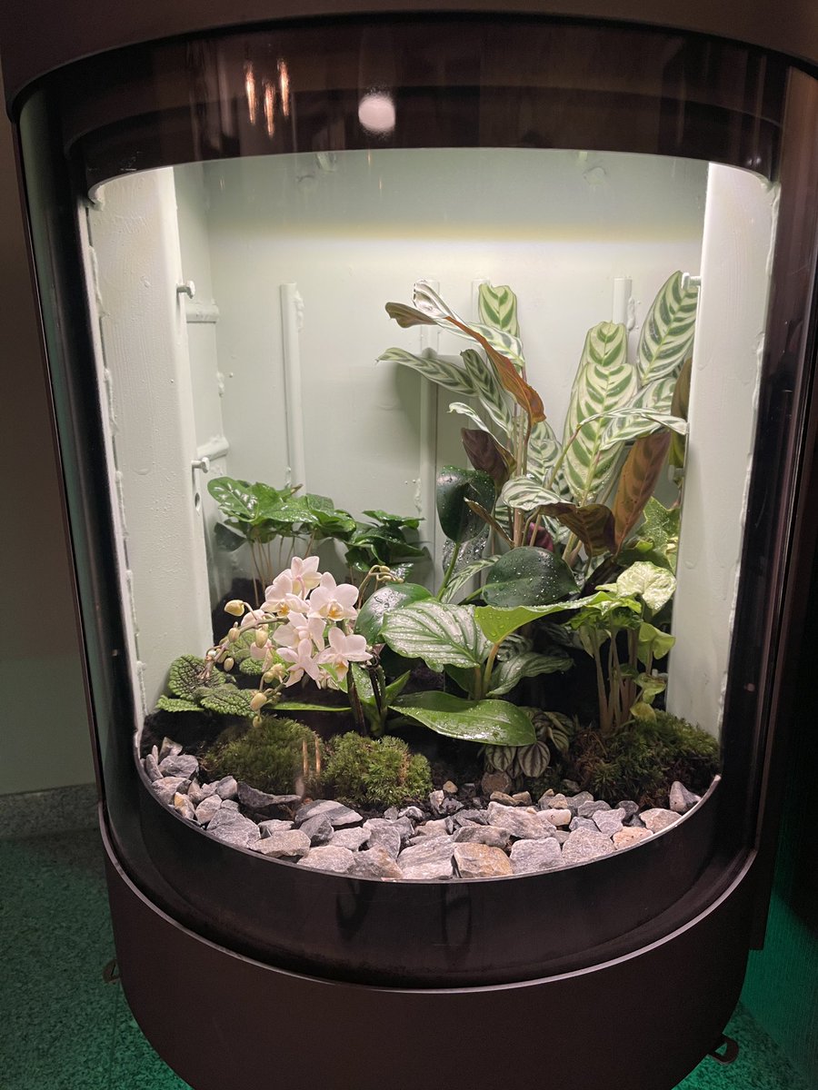 sheeepman's tweet image. Transformation abgeschlossen. Danke noch mal an @Kachelmann für die Aufklärung. War mir früher nicht klar wie schlecht Holz Öfen für die Gesundheit und Umwelt sind.