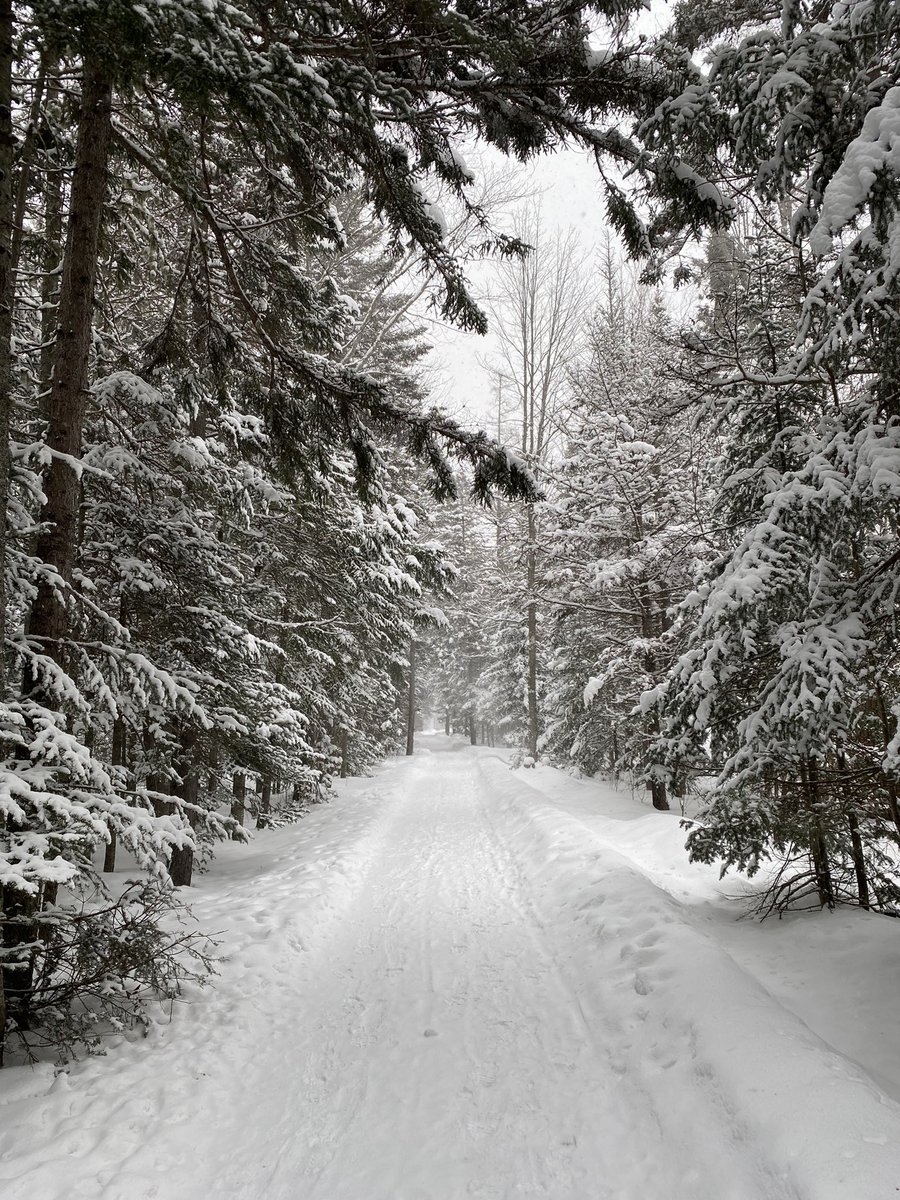 menchions_nancy's tweet photo. Perfect day for a walk in the trails #stormday https://t.co/h4GZeL3np3