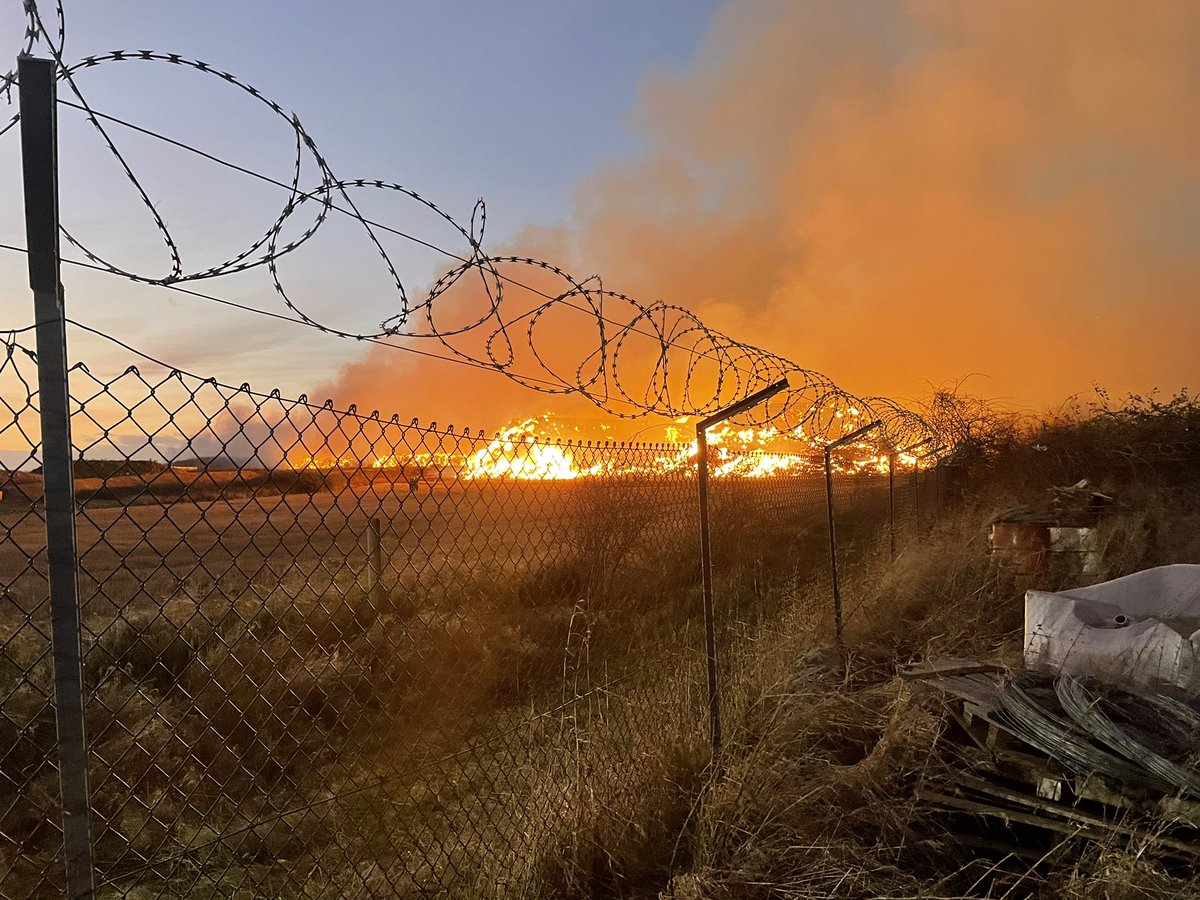 Leigh Holmes tweet media