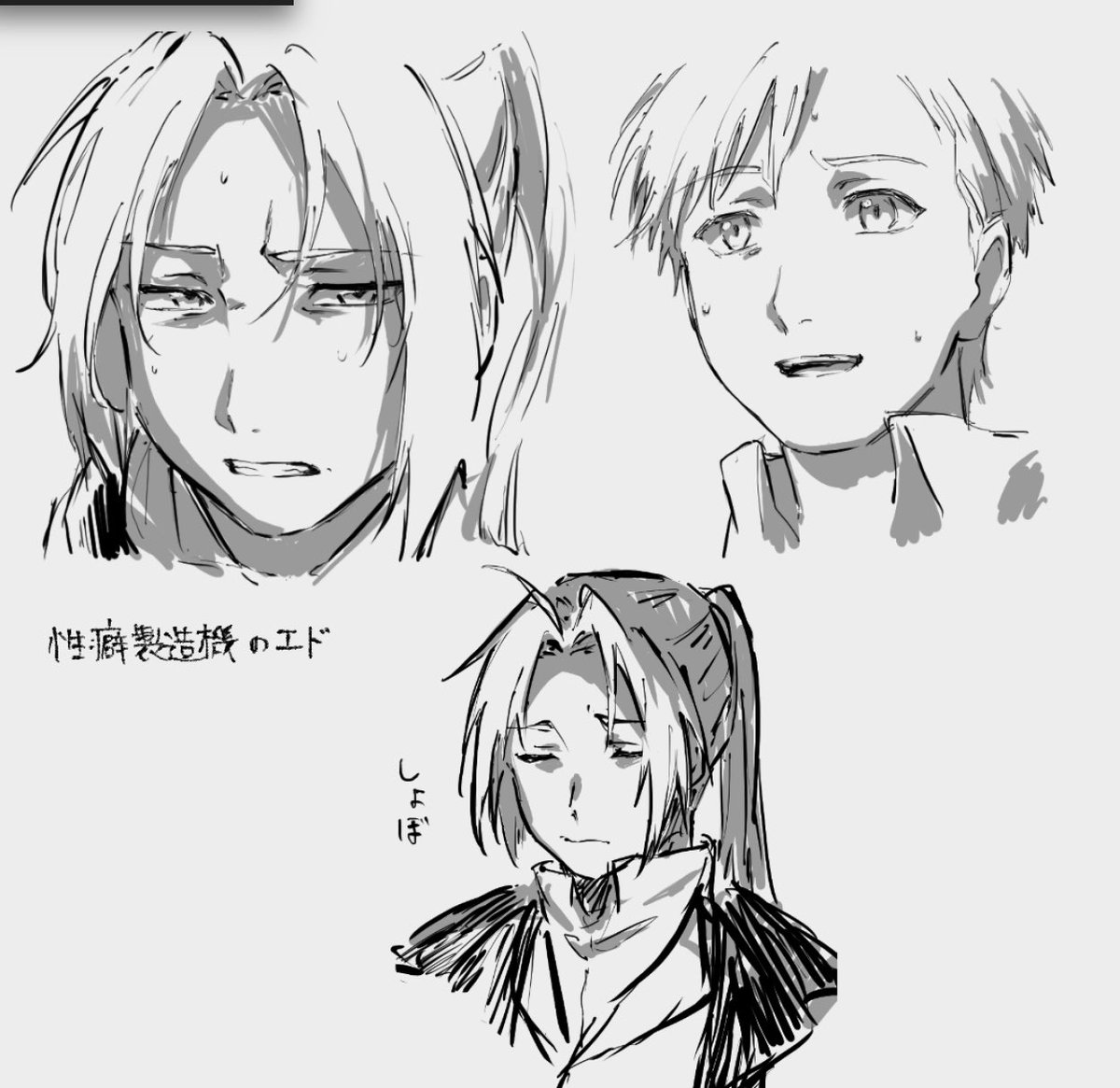 ハガレンのシャンバラを征く者みた 泣いた ハイデリヒ 8ﾟ7 パナの漫画