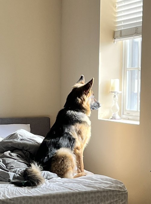 Best caption of Moose below I will send you a personal message😊❤️ Have fun! https://t.co/hVINoYa1SJ<a href="/tag/adulthumor"class="tags"><span>#adulthumor</span></a><a href="/tag/nadianorth"class="tags"><span>#nadianorth</span></a>