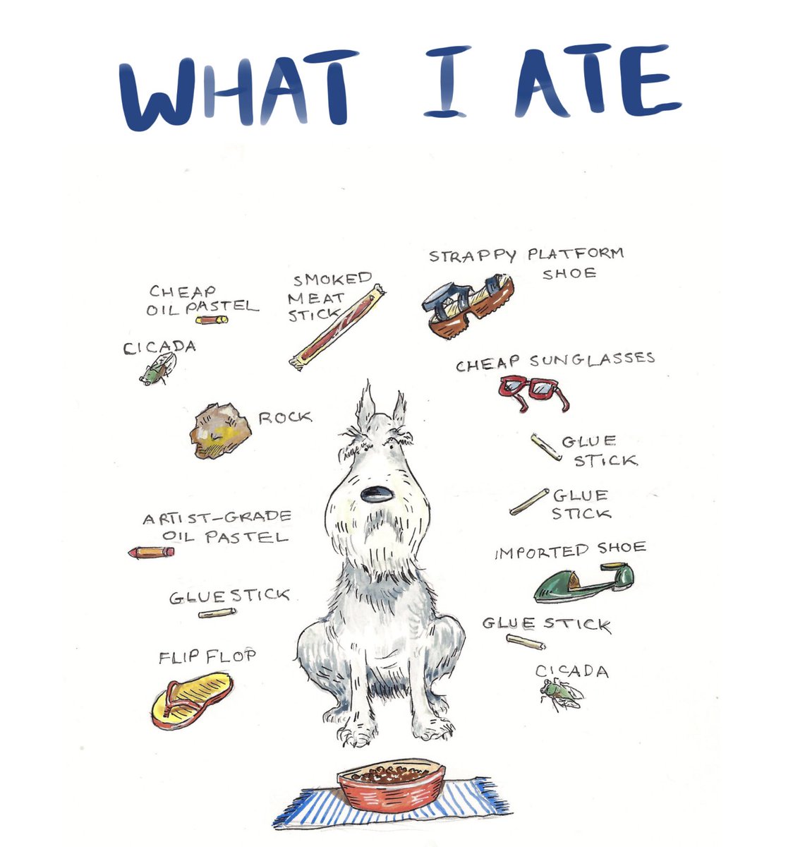 A day of cleaning up after my sick dog left me wiped out, but this 4+ year old drawing I did reminds me that nothing has changed! #whatmydogate, #mydogisahoover, #eatinggarbage, #schnauzer, #dogowner, #dog, #DogAteARock, #DogAteGarlic, #DogAteButtonsOffMyShoe, #dogillustration,