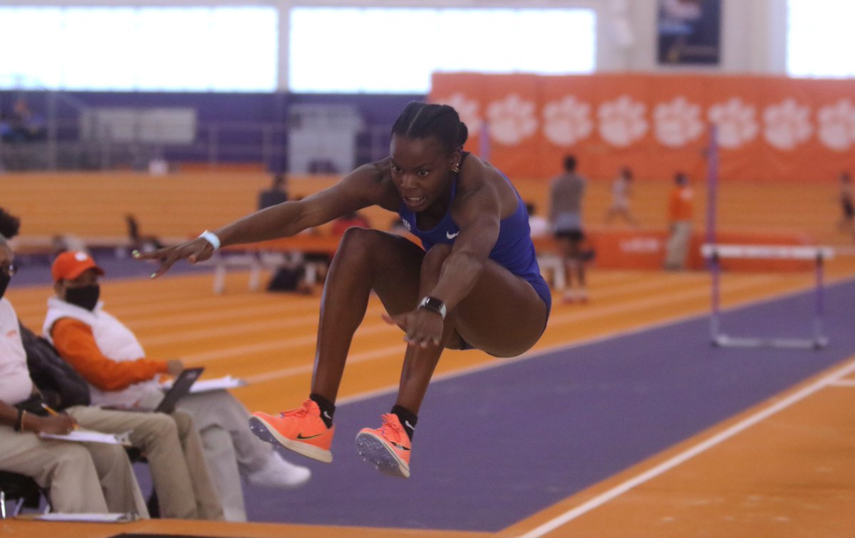 Gators Track and Field & Cross Country tweet media