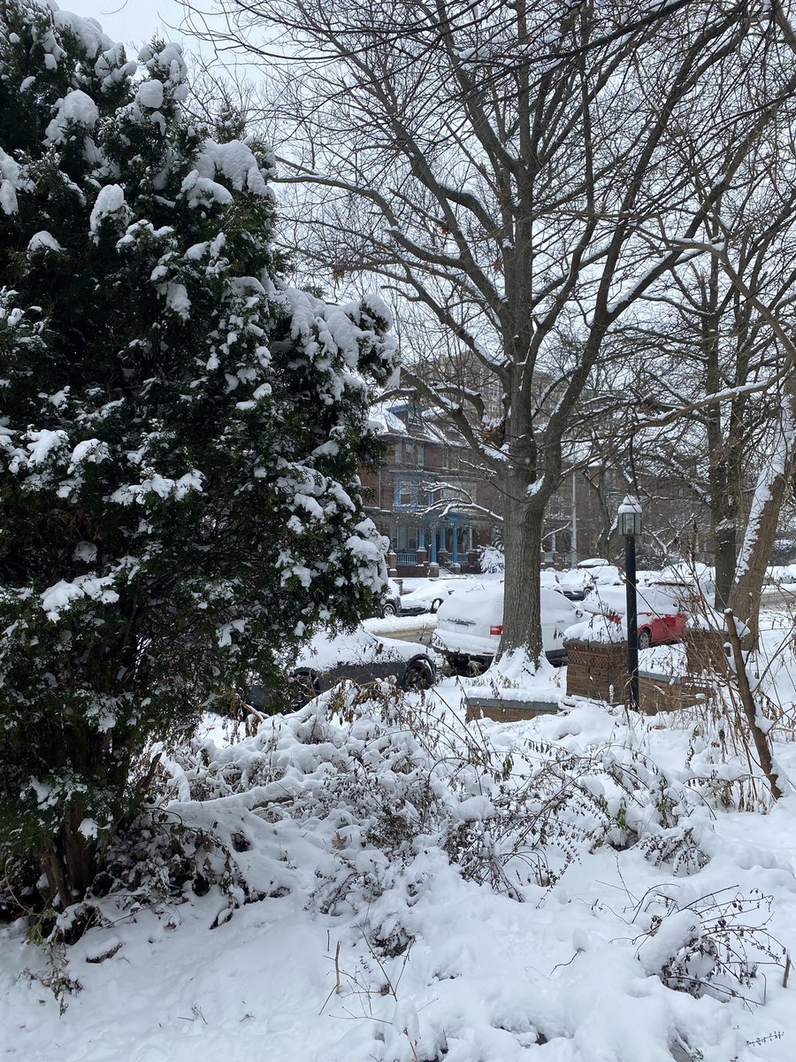 embethjones's tweet photo. snow in west philly ❤️‍🔥 https://t.co/Y6gL3CYiNC