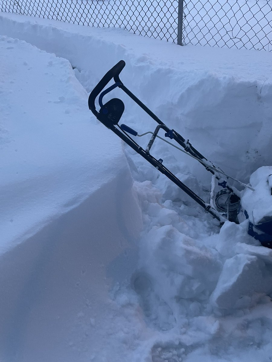 Jonathan Goyer tweet media