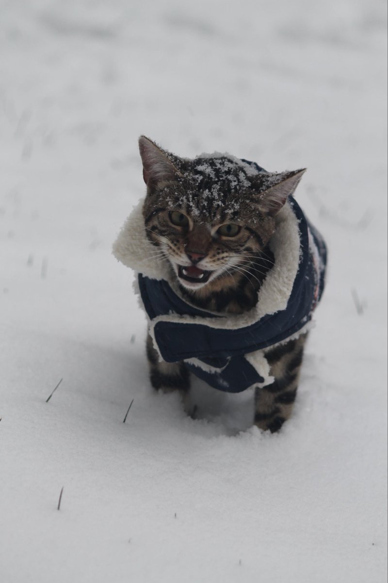6abcSnow's tweet photo. https://t.co/0R0v6HLkvz