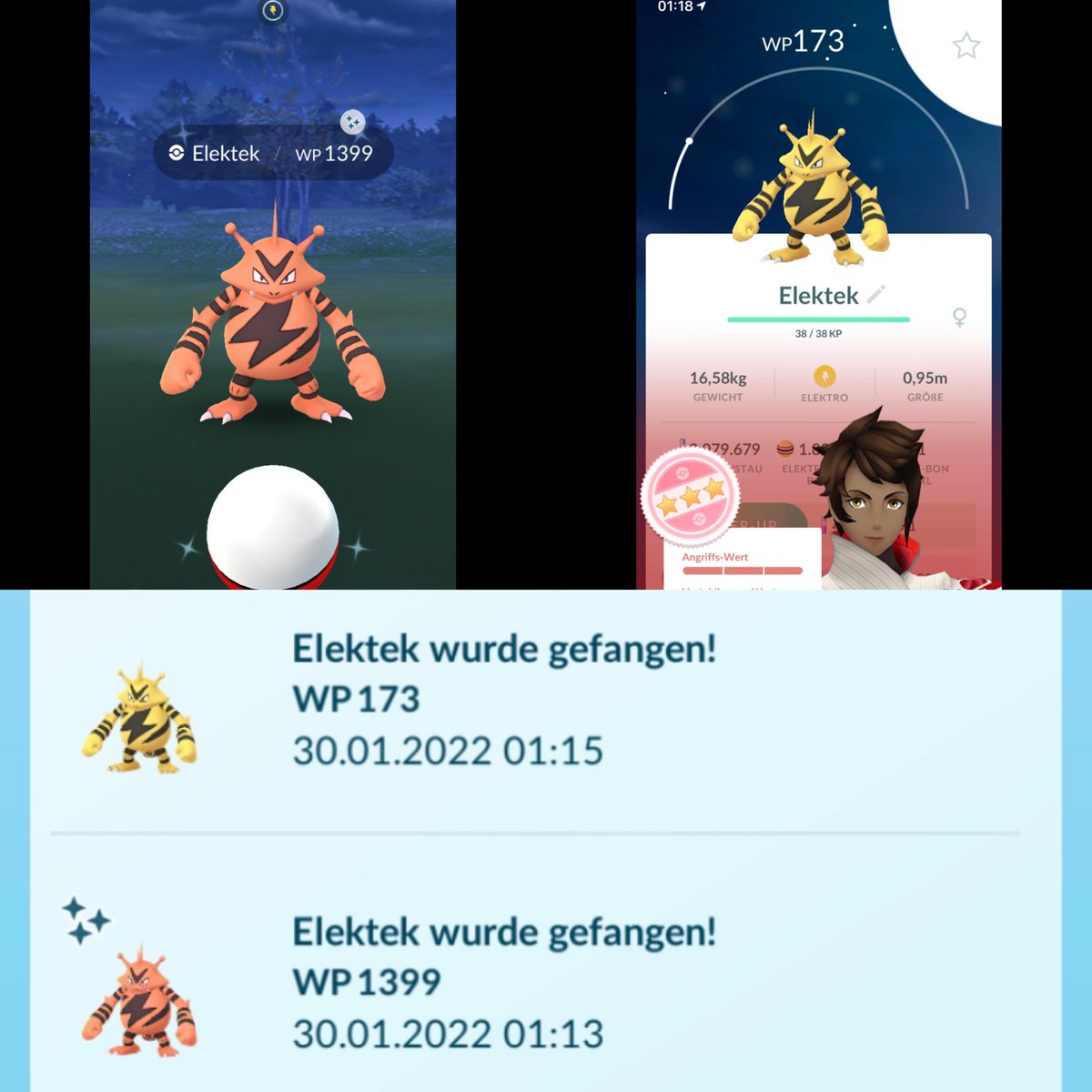 bjoern6290's tweet photo. Back to back #shiny then #hundo 🥳✨💯
#PokemonGO #ShinyPokemon #Elektek #Electabuzz #エレブー https://t.co/ikWx3v8xZv