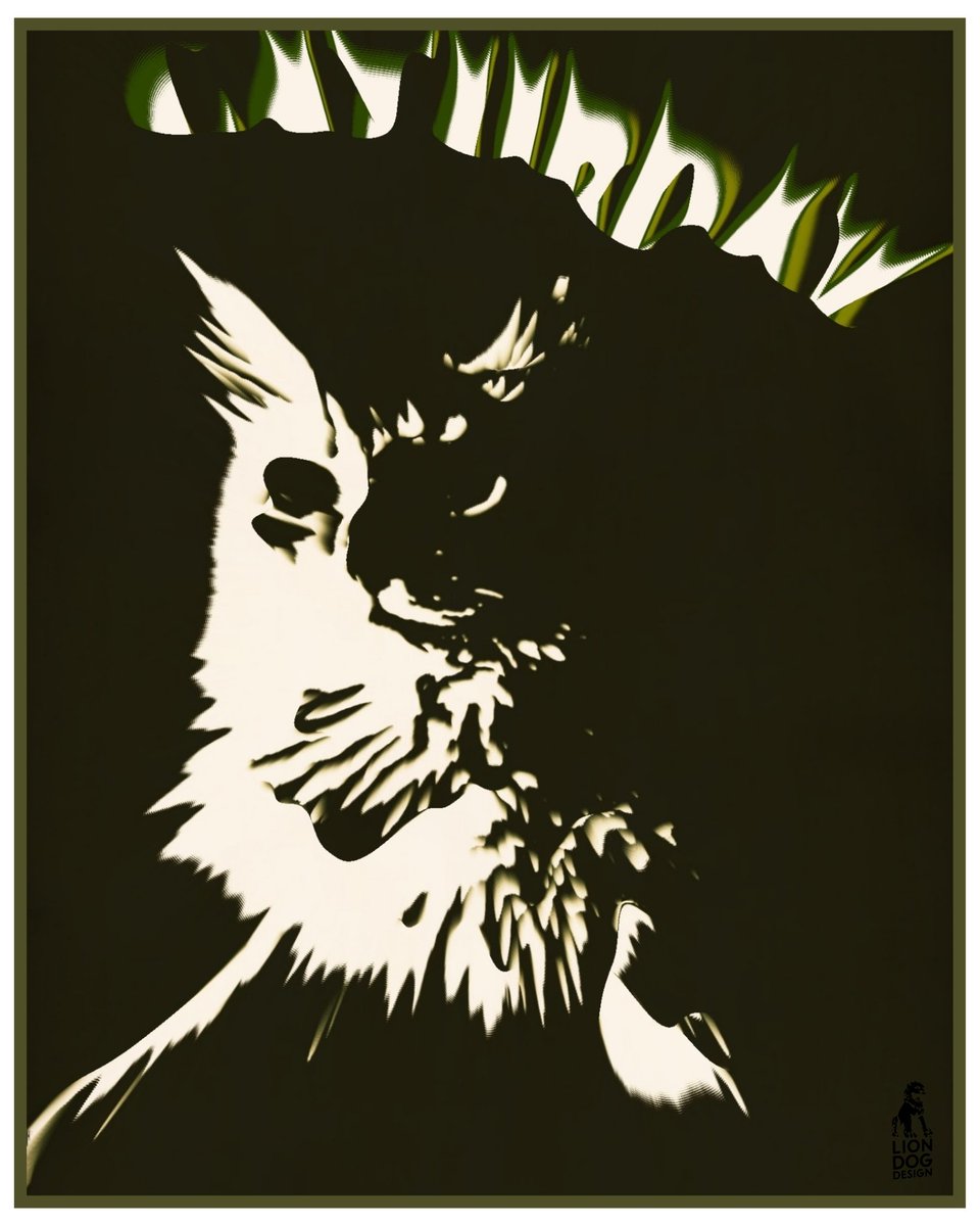 LionDogDesign1's tweet photo. #Caturday night's alright for fightin'. https://t.co/OjnxUp6YBB