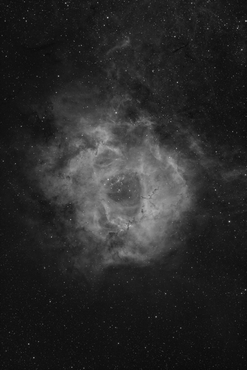 Testing out some urban #astrophotography. Rosette nebula in monochrome shot from backyard in San Francisco. Using narrowband filters (H-alpha) to knock out most of the light pollution.