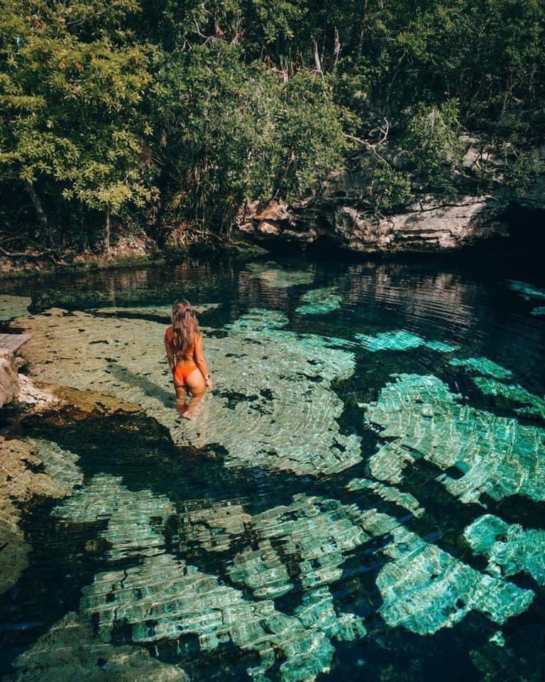 Revista_Yucatan's tweet photo. Te compartimos 3 cenotes que no te puedes perder en tu próxima visita a #Tulum ✨
1️⃣ #CenoteAzul 💙
2️⃣ #CenoteCalavera 💀
3️⃣ #CasaCenote 🏡
📷: sabineandtanner, caispictures y benchamberland vía IG https://t.co/3Pgzzg6Ek1